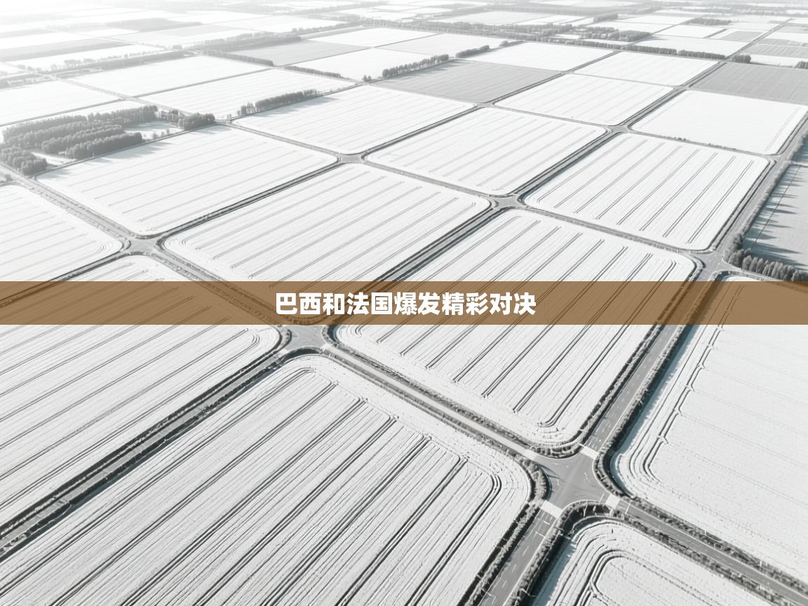 巴西和法国爆发精彩对决  第2张