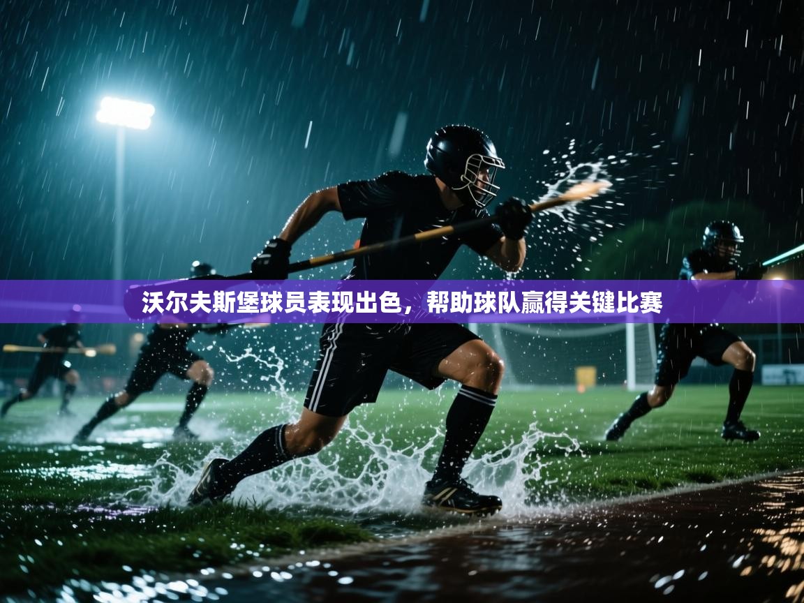 沃尔夫斯堡球员表现出色,帮助球队赢得关键比赛 第2张