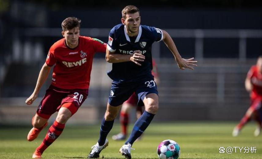 波鸿主场再败,排名暴跌引发球迷担忧的简单介绍 波鸿主场再败,排名暴跌引发球迷担忧的简单介绍